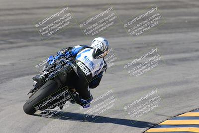 media/Feb-04-2024-SoCal Trackdays (Sun) [[91d6515b1d]]/4-Bowl Backside (11am)/